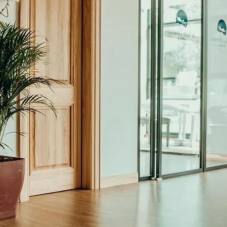 فندق White Dream