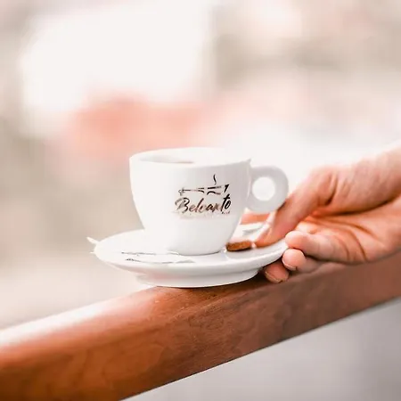 Hotel White Dream 4*