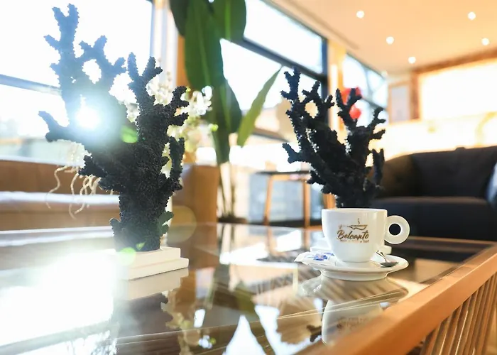 Hotel White Dream 4*