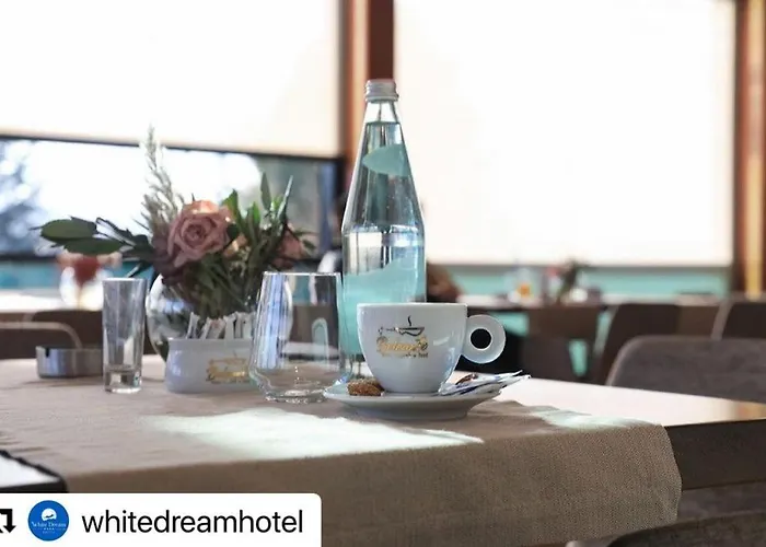 Hotel White Dream 4*