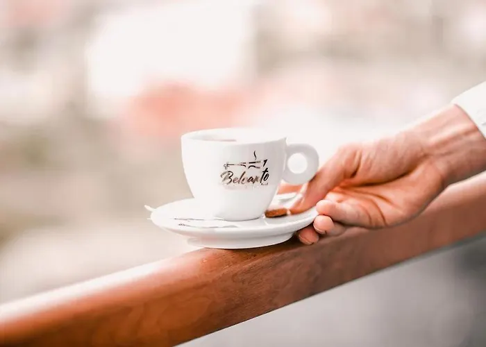 Hotel White Dream 4*